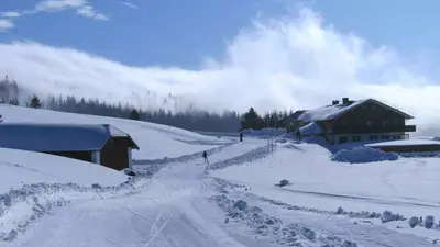 Südschwarzwald - 120 Kilometer bestens gespurter Loipen