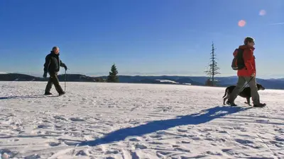 Bei gutem Wetter reicht der Blick bis zu den Alpen