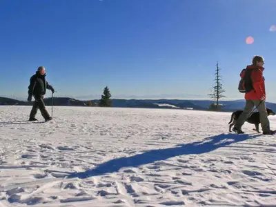 Bei gutem Wetter reicht der Blick bis zu den Alpen © Tourismus GmbH zwischen Feldberg und Belchen