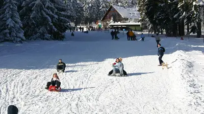Rodelspaß in Oberhof
