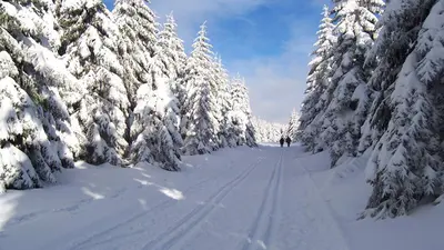 Loipenparadies in Oberhof
