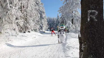 Loipeneinstieg Grenzadler