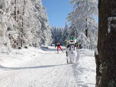 Loipeneinstieg Grenzadler © www.oberhof.de