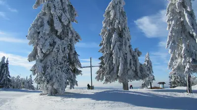 Familien-Winterland Mitterdorf