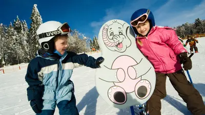 Kinder im Skigebiet Mitterdorf