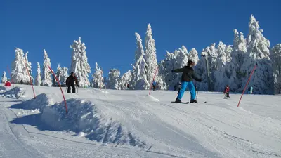 Wellenbahn in Mitterdorf