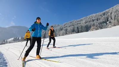 Rund um den Breitenberg führen zahlreiche Loipen