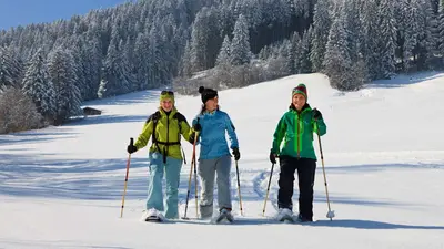 Schneeschuhtour am Breitenberg
