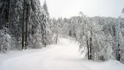 Blick vom Tal die leere Piste hinauf