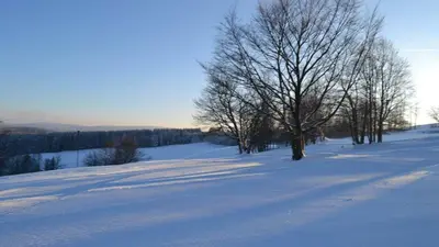 Winterliche Landschaft mit Bäumen