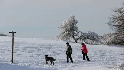 Zwei Wanderer mit Hund