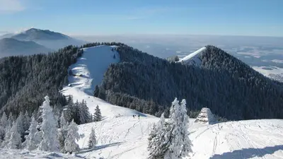 Blick über das Hörnle