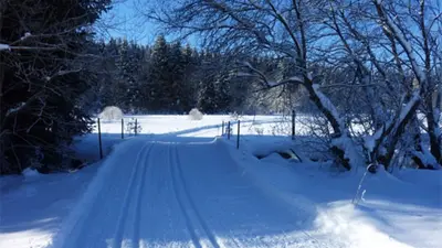 Unterwegs auf den Loipen rund um Mauth-Finsterau