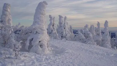 Winter im Bayerischen Wald