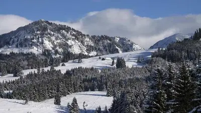 Blick auf den Sonthofer Hof