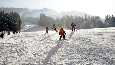 Skifahrer auf der Piste