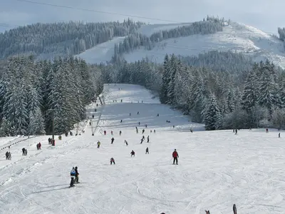 Blick auf die Piste vom Tal aus © Tourist-Info Wertach