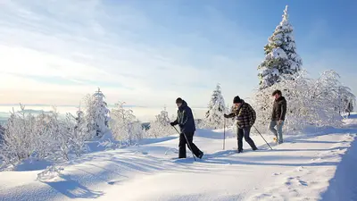 Schneeschuhtour durch die Landschaft bei Baiersbronn