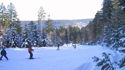 BSkifahrer auf der Piste