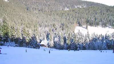 Blick über das Skigebiet und den Winterwald