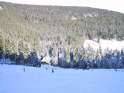 Blick über das Skigebiet und den Winterwald © Skizentrum Enzklösterle