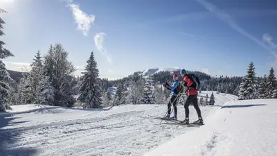 Langläufer auf einer Loipe