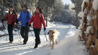 Drei Wanderer mit Hund