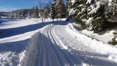 Loipe in Schönwald im Schwarzwald
