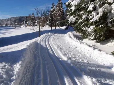 Loipe in Schönwald im Schwarzwald © Ferienland Schwarzwald