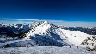 Panoramablick am Jenner