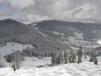 Panoramablick in St. Blasien-Menzenschwand © Tourist-Information St. Blasien