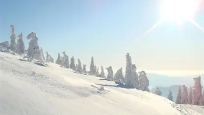 Winterlandschaft in Zwiesel