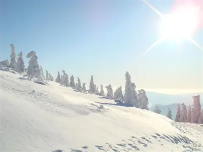 Winterlandschaft © Skiwanderzentrum Zwieslerwaldhaus