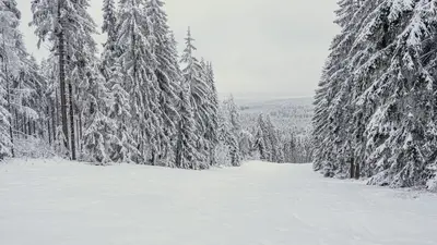 Blick von der Bergstation