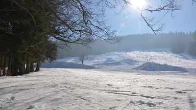 Winterlandschaft neben der Piste