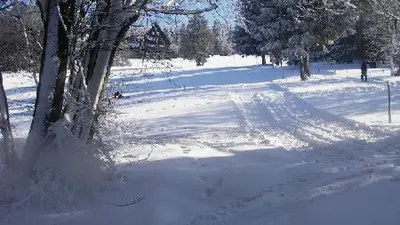 Wanderweg am Hohen Meißner