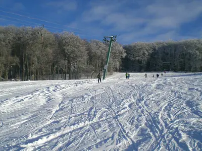 Piste © Waldskilift Schnittlingen