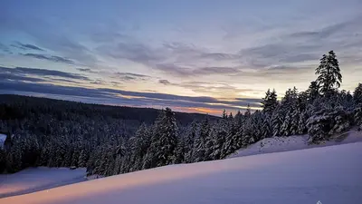 Winterimpressionen in Kaltenbronn