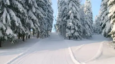Doppel-Schlepplift am Gründelwald