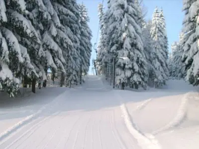 Doppel-Schlepplift am Gründelwald © Skiclub Edelweiß