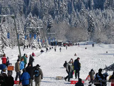 Blick auf den Rodellift und -hang © Torfhauslifte