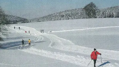 Langläufer in Meßstätten