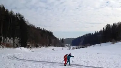 Langläufer auf einer Loipe bei Thurmansbang