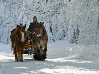 Pferdeschlitten © Touristinformation Tabarz