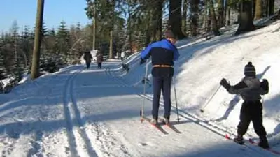 Langläufer auf einer Loipe