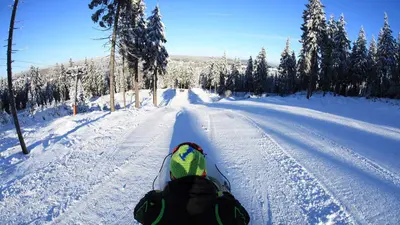 Rodler auf der Piste