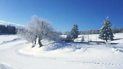 Winterliche Landschaft am Kandel