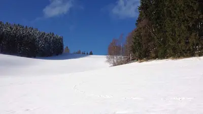 Blick auf die Piste im Skigebiet Hohe Lied mit Pulverschnee