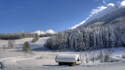 Aussicht beim Langlaufen auf eine verschneite Hütte