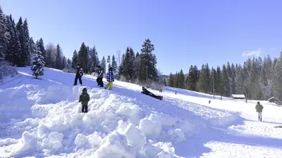 Blick auf den Rodelhang am Barmsee